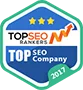 Named #1 Digital Agency in Many Countries! - 九游平台
